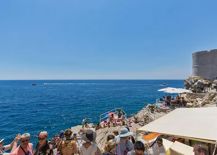 Seagull * Dubrovník